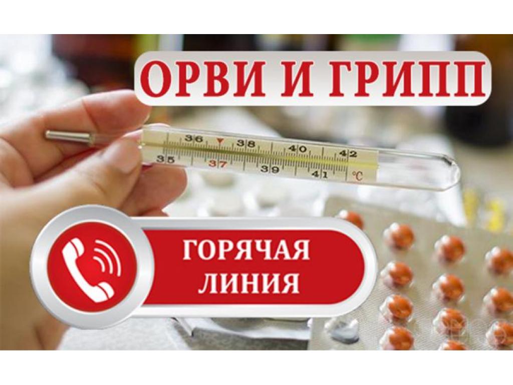 Горячая линия 