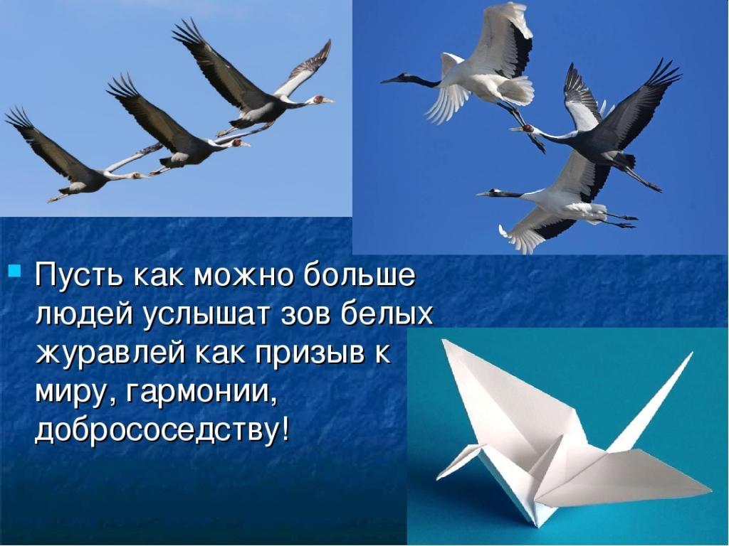 22 октября " День белых журавлей " 22 октября " День белых журавлей "