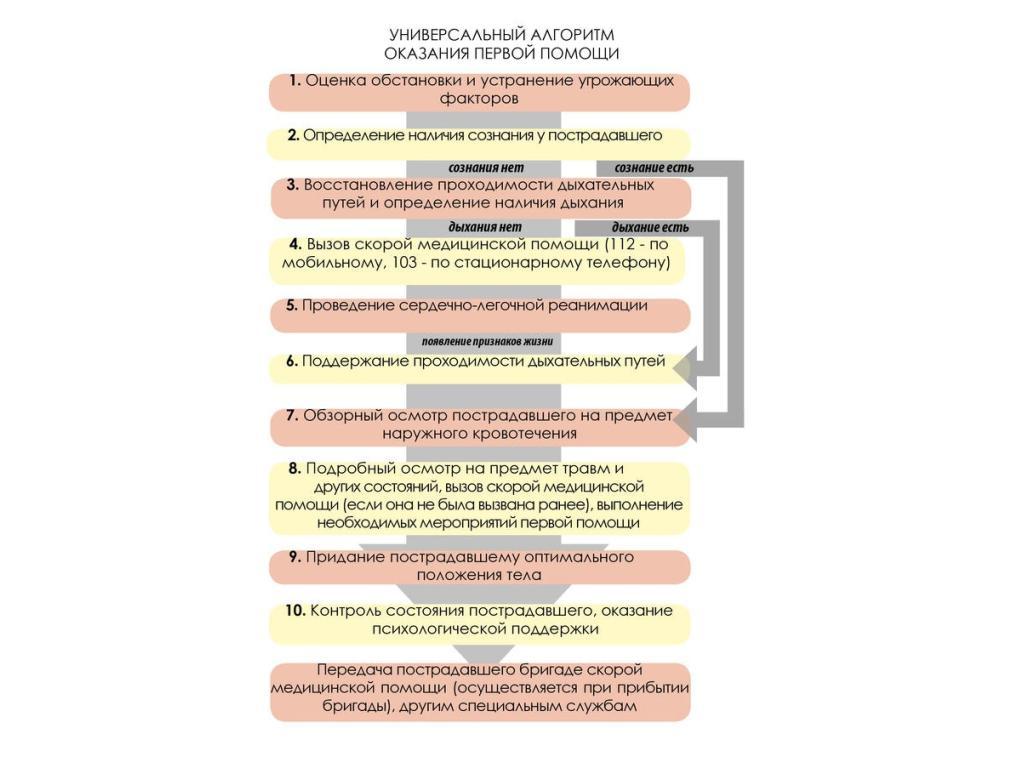 Оказание первой помощи