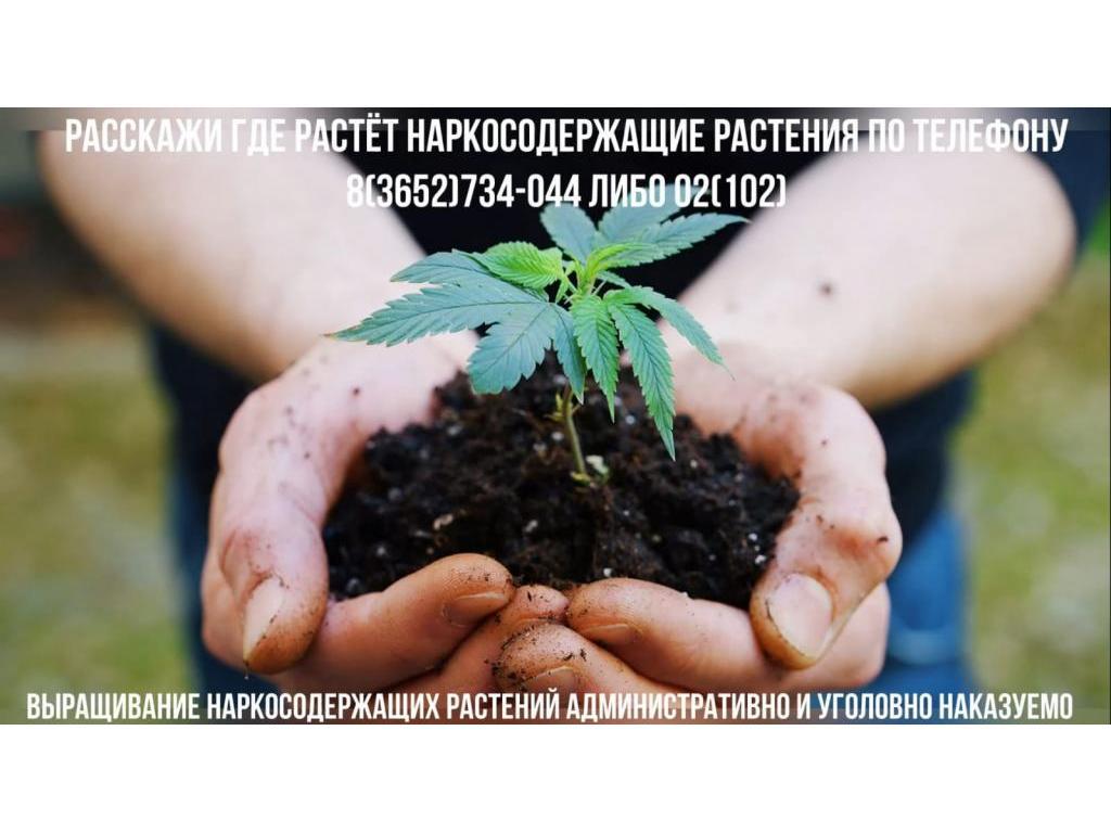 Стоп Наркотики!