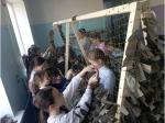 Маскировочные сети для участников СВО