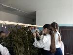 Маскировочные сети для участников СВО