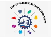 Профессионалитет